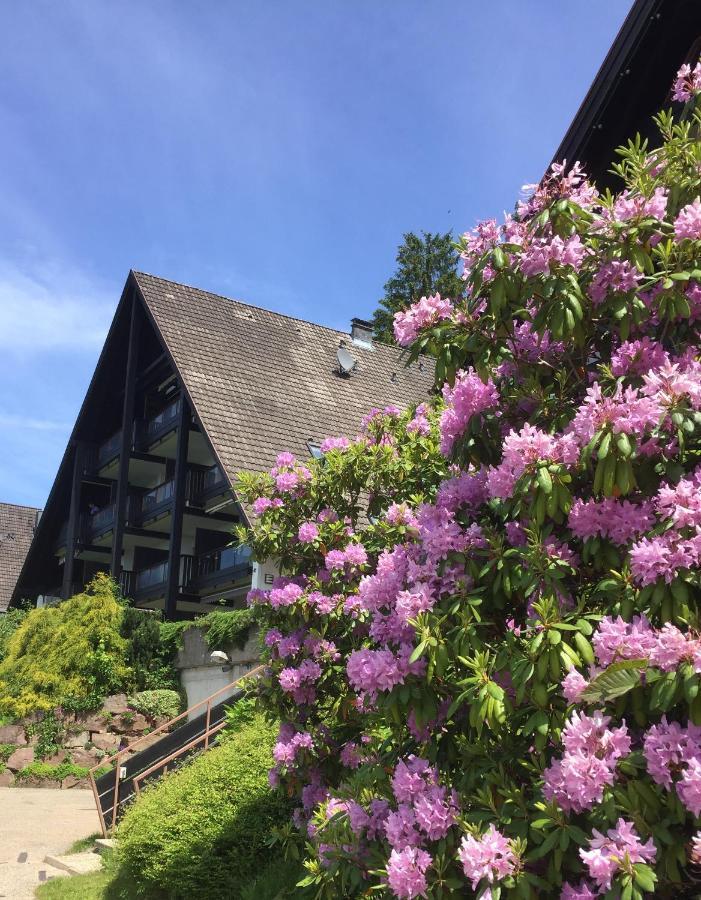 Apartamento Panorama Point Sasbachwalden Exterior foto